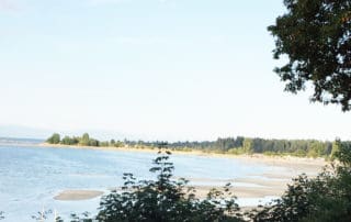 Better Laser Hair Removal in Parksville | Elegance Sculpting